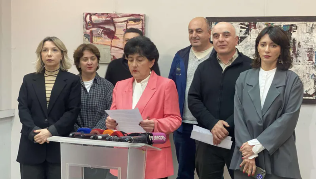 Georgian NGOs respond to raids on activists